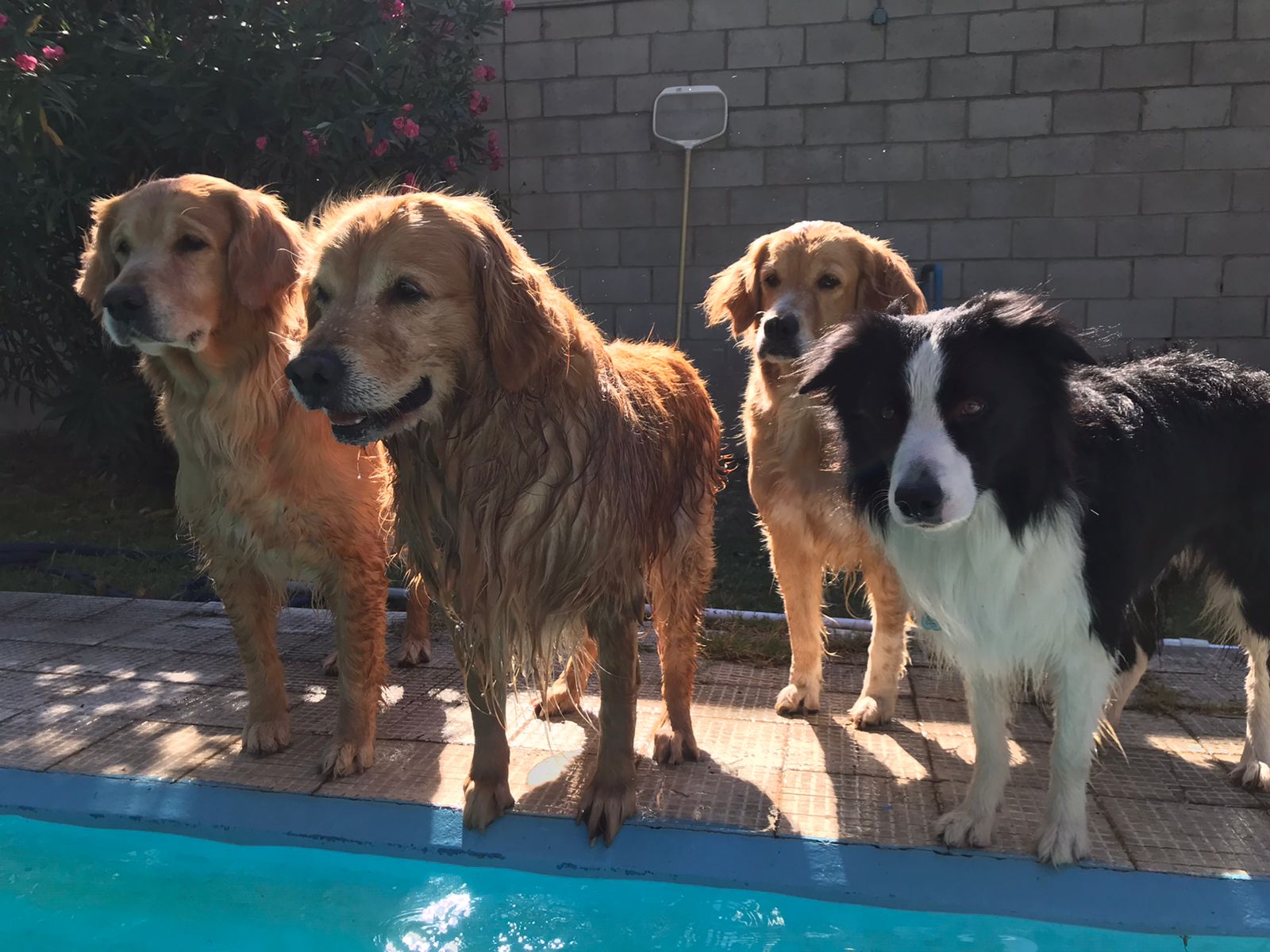 IMG-20211226-WA0022 (1).jpg